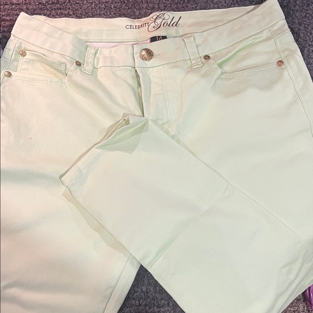 Honeydew Intimates mint Skinny Jeans